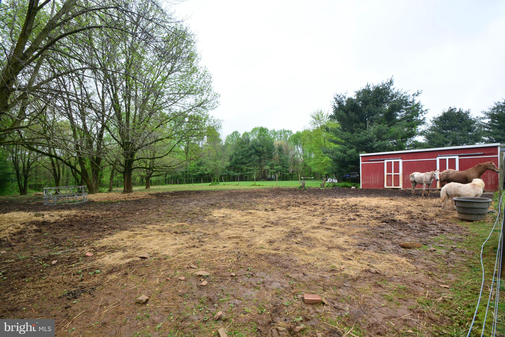 1002 South Stepney Road Aberdeen, MD 21001 - Photo 24 of 30 Electric Fenced in area