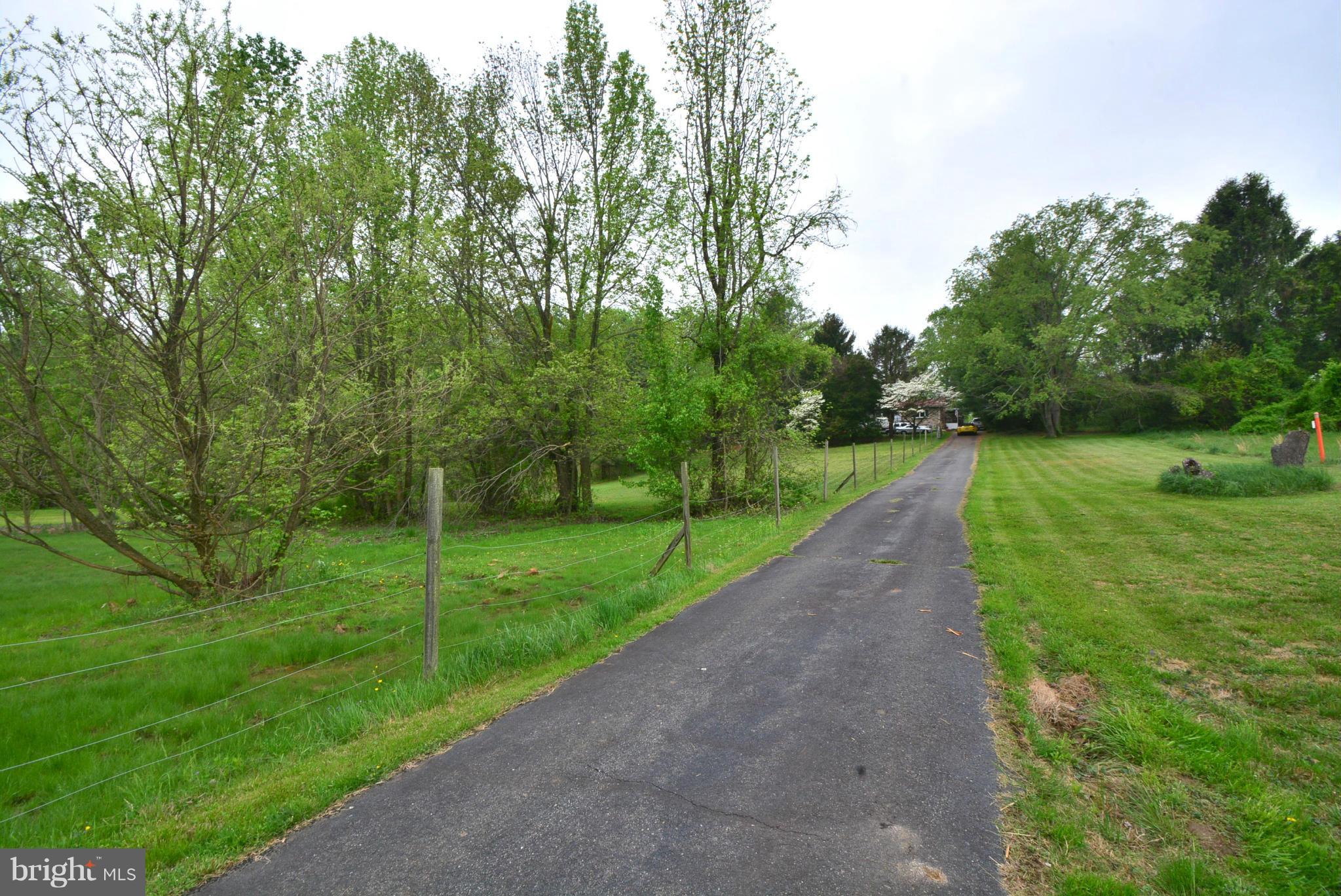 1002 South Stepney Road Aberdeen, MD 21001 - Photo 29 of 30 Treeline Driveway
