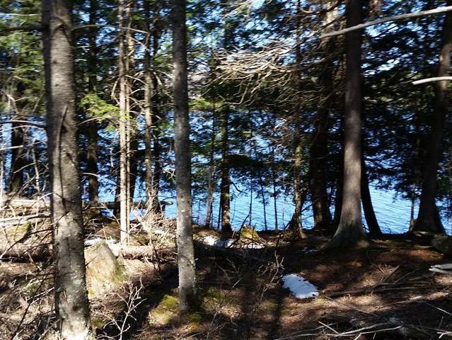 Lot 11 Beatons Lake Road Watersmeet, MI 49969 - Photo 1 of 5 Gallery Image 1