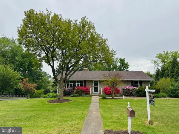 a view of a big house with a big yard and potted plants and large trees