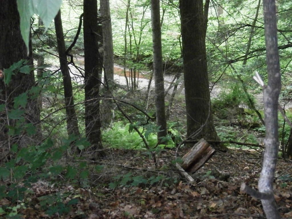 115 Pineywoods Road Ferrisburgh, VT 05473 - Photo 33 of 36 Gallery Image 33