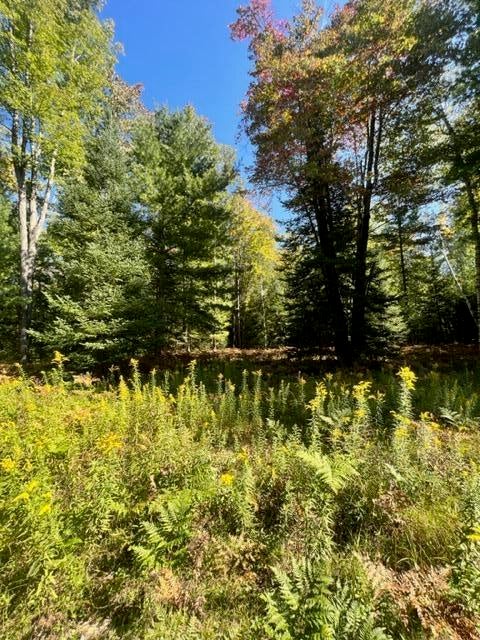3675 Nasser (120 Acres) Road Fairview, MI 48621 - Photo 60 of 76 Gallery Image 60