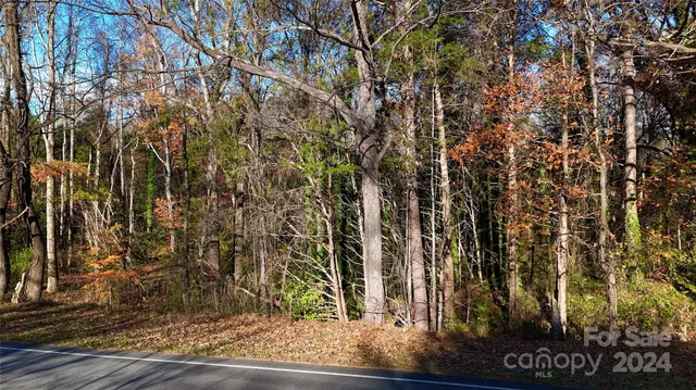 a city view with tall trees