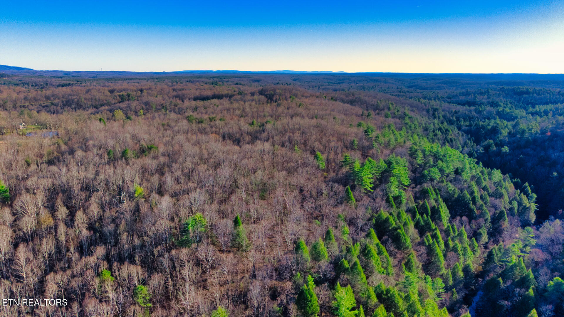 4 Ervin Brown Road, Unit TRACT 4 Sunbright, TN 37872 - Photo 1 of 7 DJI_20260328181447_0006_D_SOP