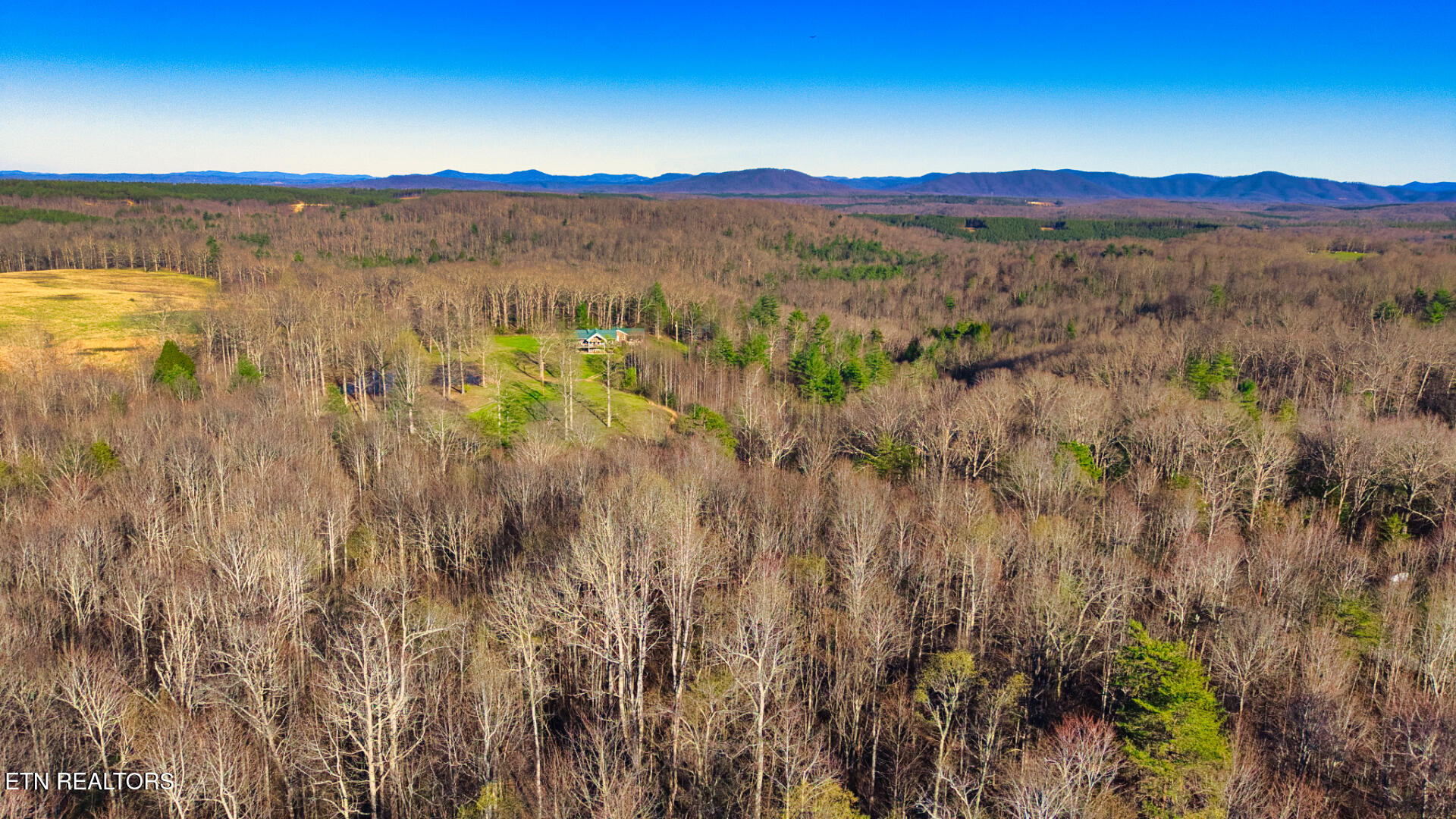4 Ervin Brown Road, Unit TRACT 4 Sunbright, TN 37872 - Photo 4 of 7 DJI_20260328181528_0021_D_SOP