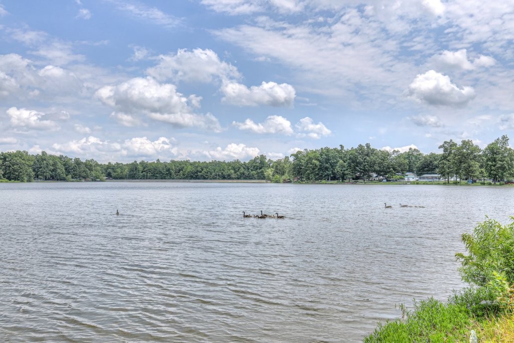 227 Corinth Road Beechgrove, TN 37018 - Photo 2 of 43 Gallery Image 2