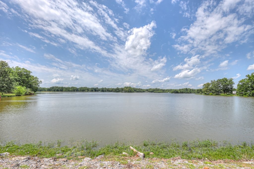 227 Corinth Road Beechgrove, TN 37018 - Photo 42 of 43 Gallery Image 42