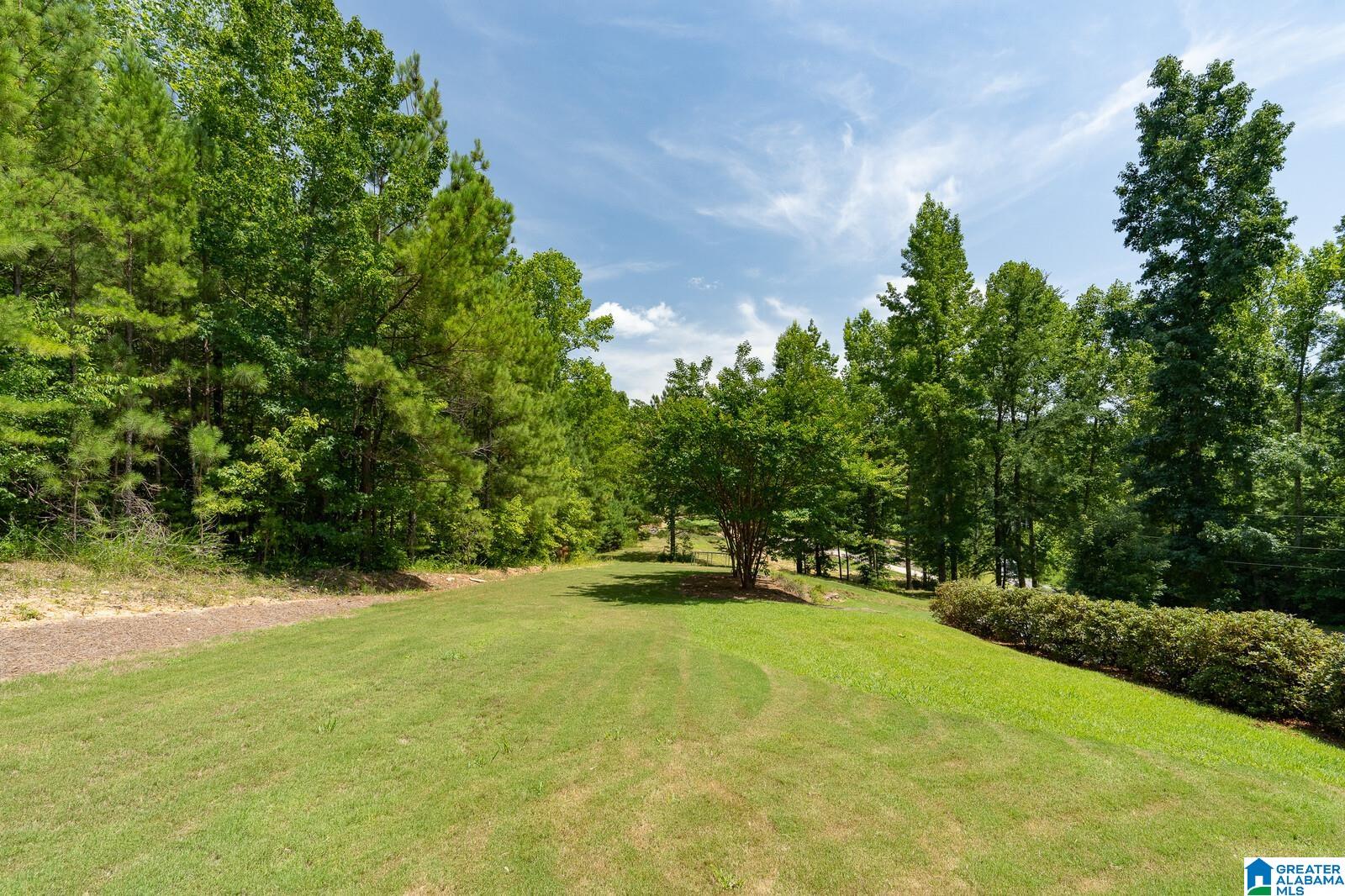 55 Deer Cv Circle Springville, AL 35146 - Photo 36 of 43