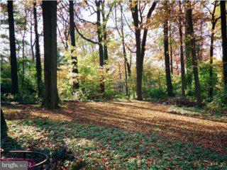 434 Glenwyth Road Wayne, PA 19087 - Photo 6 of 6