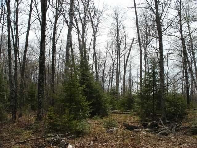 11-12 Feely Lake Road Mercer, WI 54547 - Photo 12 of 14 Gallery Image 12