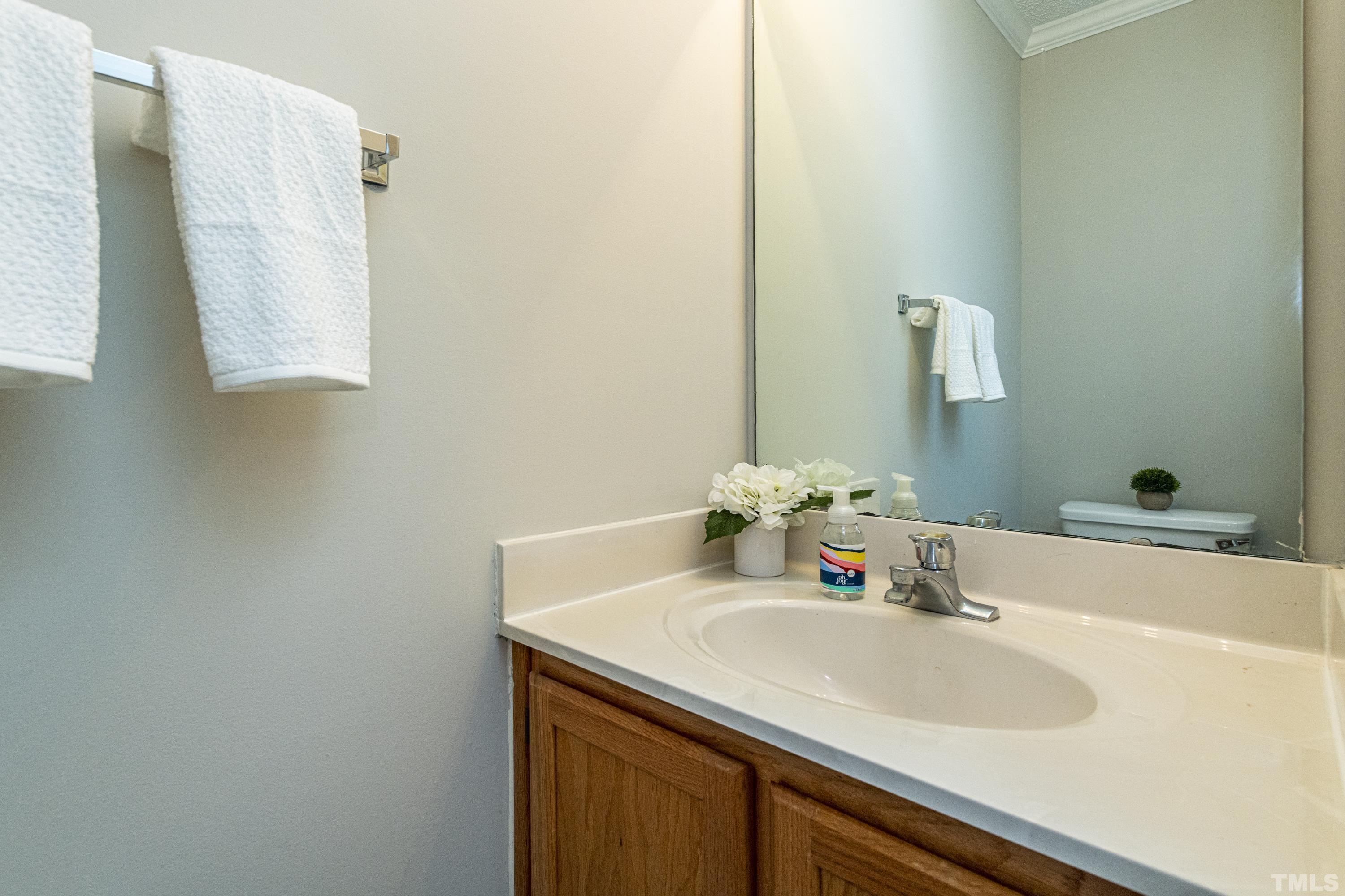 5317 Tilford Lane Raleigh, NC 27613 - Photo 22 of 29 a bathroom with a sink and a mirror