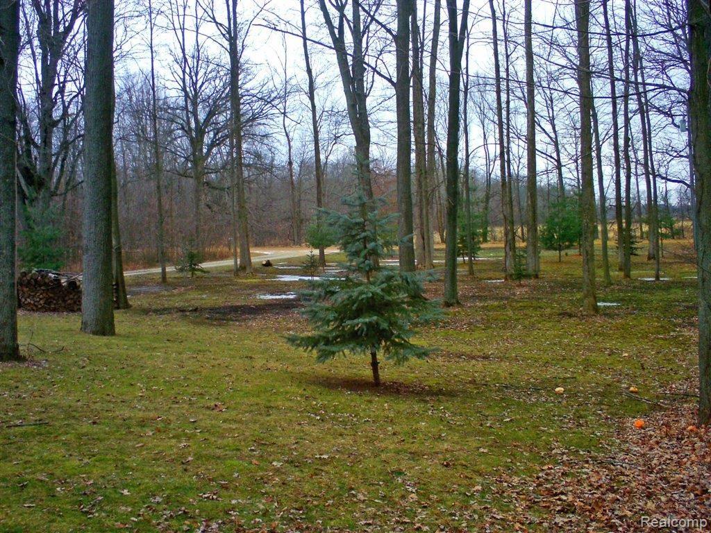 4170 Catlin Road Columbiaville, MI 48421 - Photo 25 of 25 Front yard.JPG