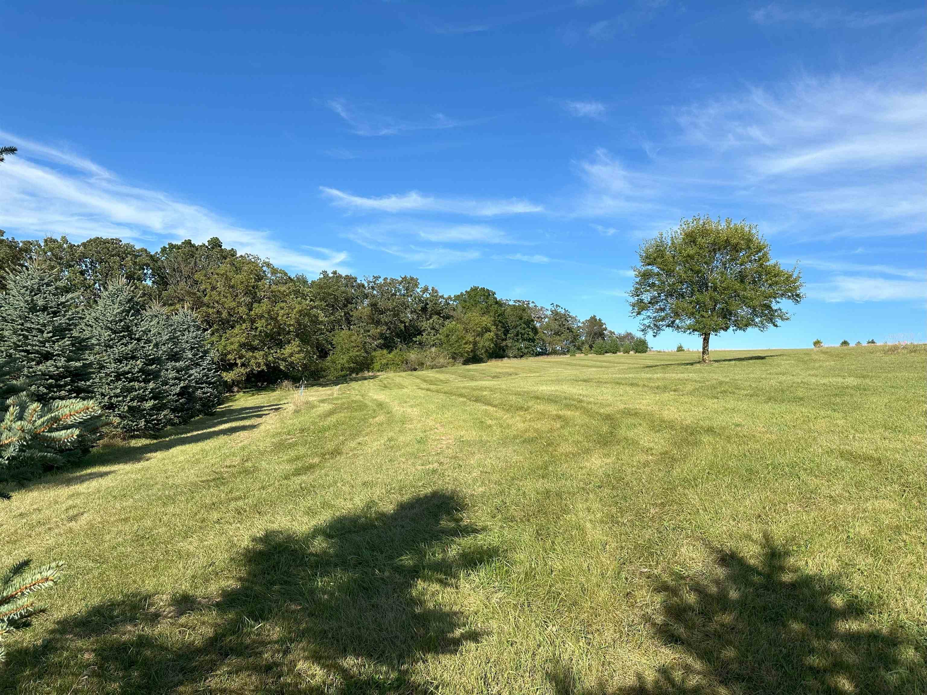 Lot 1-csm Hustad Valley Road New Glarus, WI 53574 - Photo 4 of 13