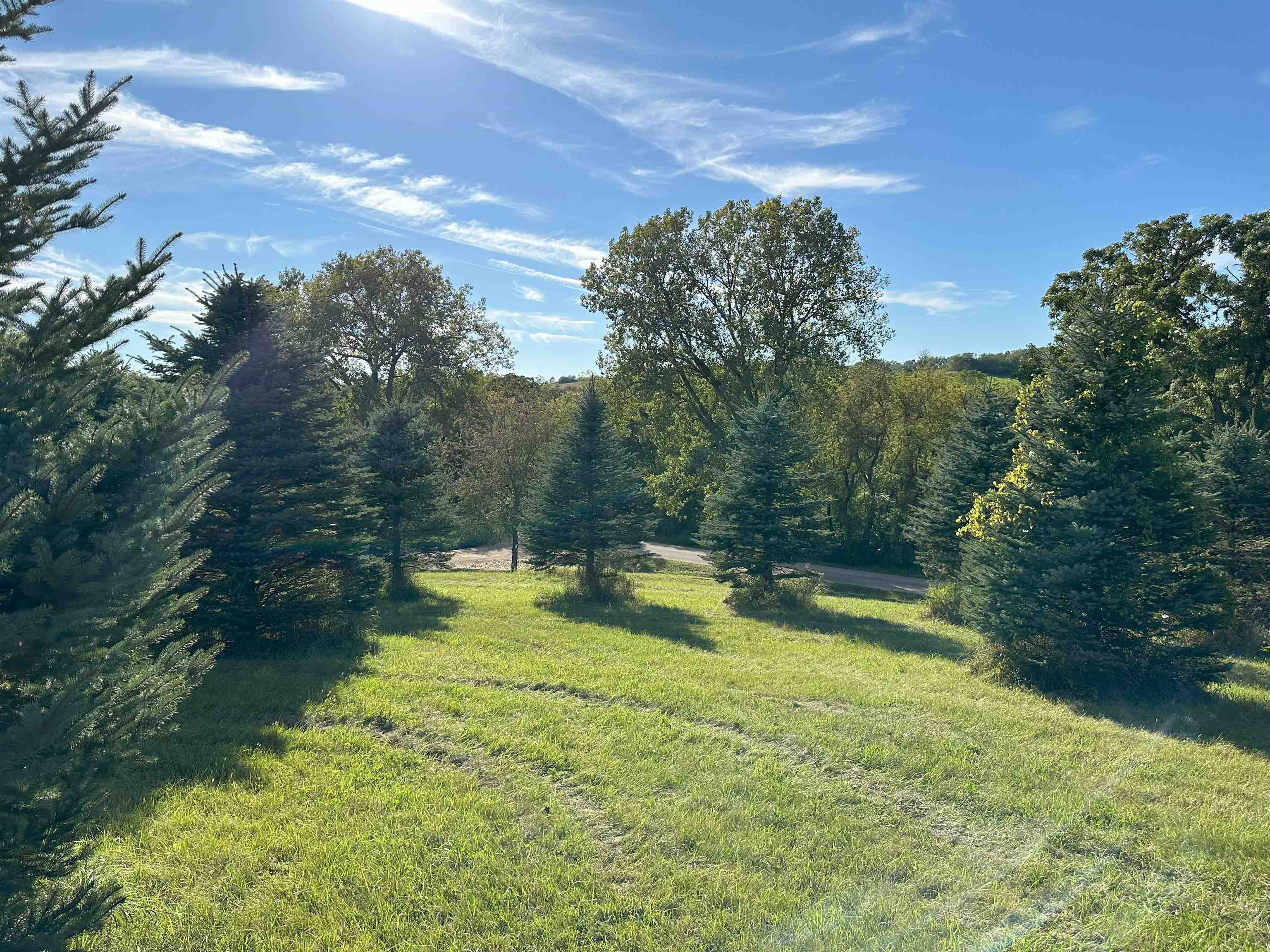 Lot 1-csm Hustad Valley Road New Glarus, WI 53574 - Photo 5 of 13
