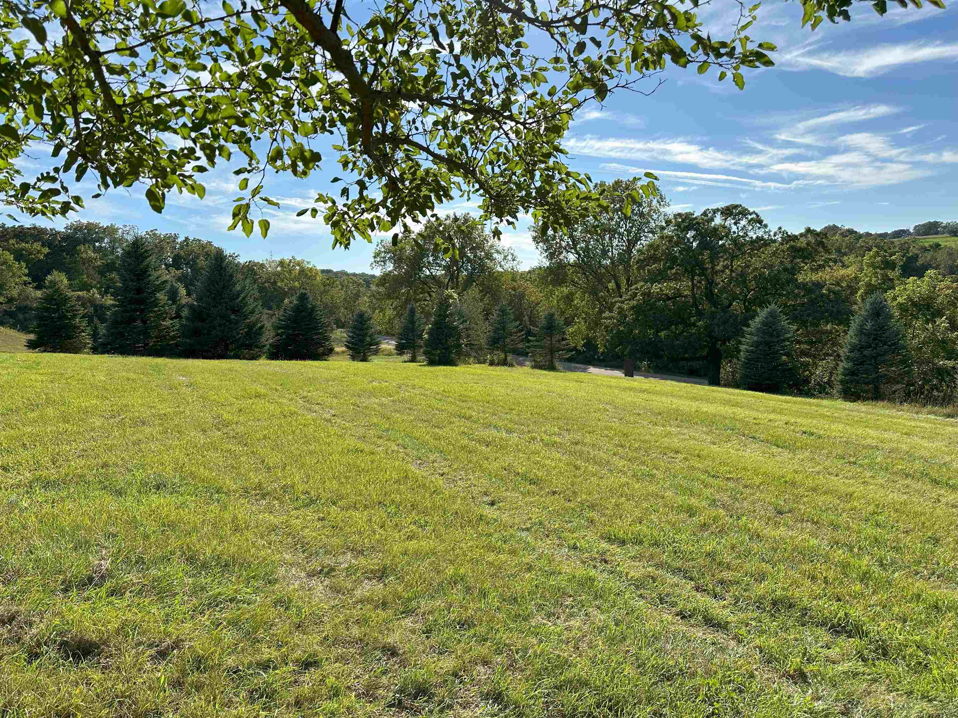 Lot 1-csm Hustad Valley Road New Glarus, WI 53574 - Photo 6 of 13