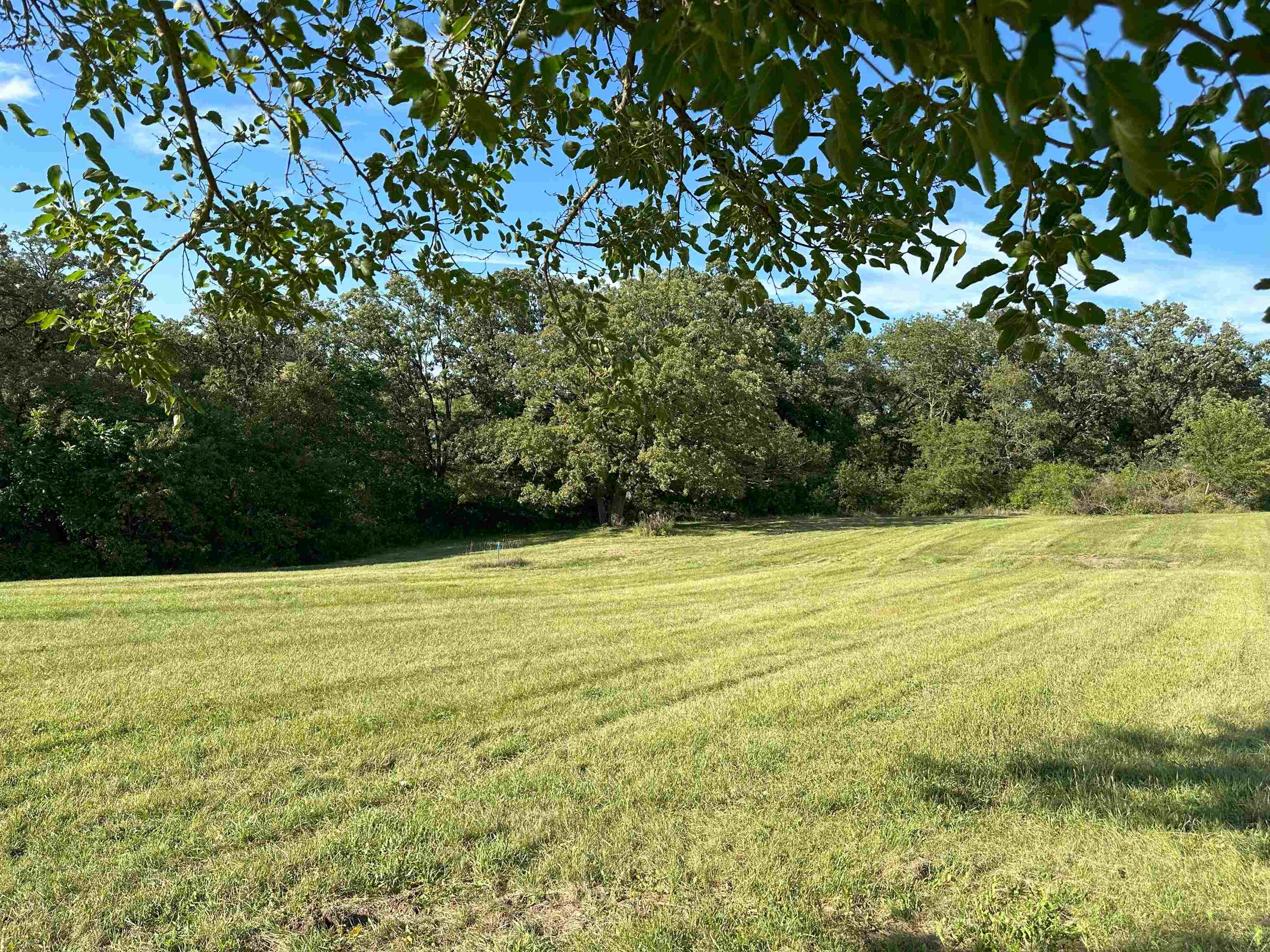 Lot 1-csm Hustad Valley Road New Glarus, WI 53574 - Photo 7 of 13