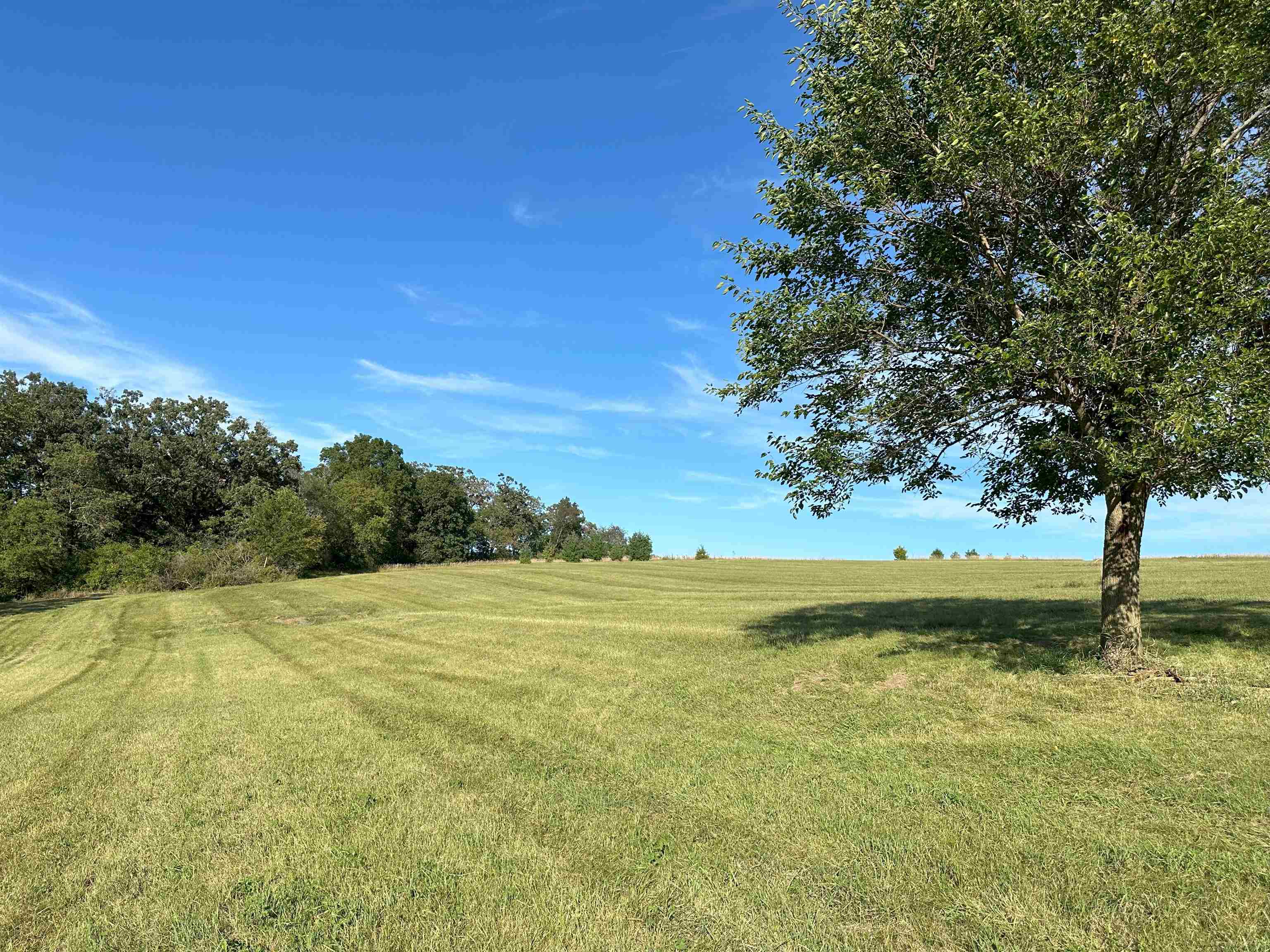 Lot 1-csm Hustad Valley Road New Glarus, WI 53574 - Photo 8 of 13