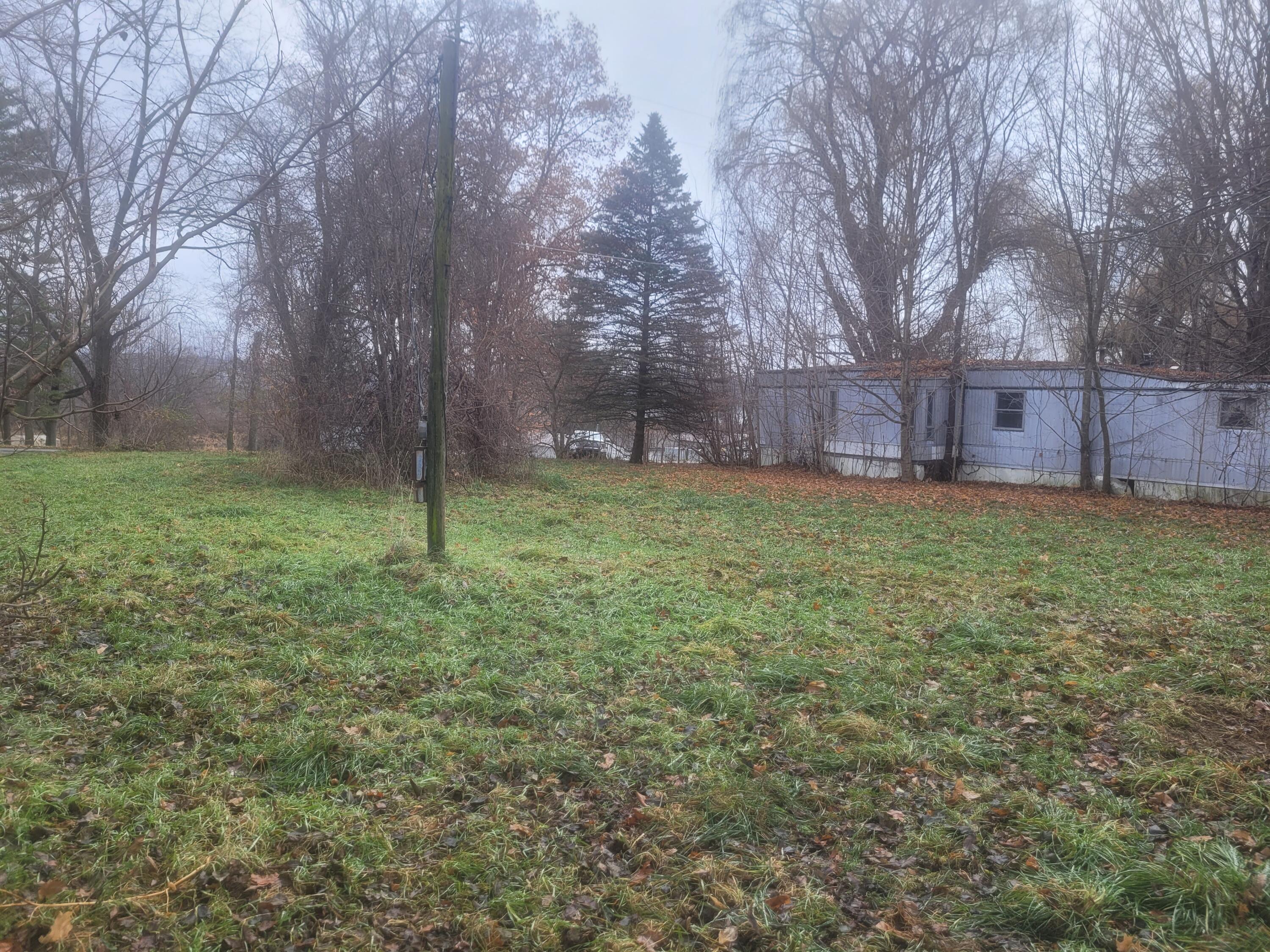 1127 Oliverda Road Sherwood, MI 49089 - Photo 6 of 9 20231205_115108