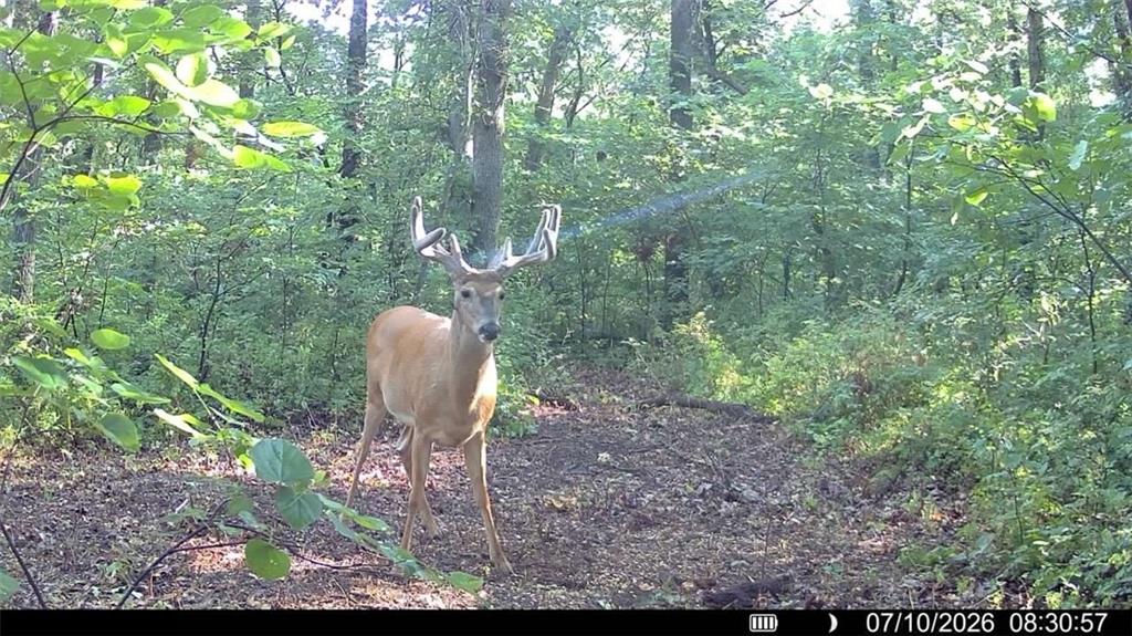 2163 East 500 Road Lecompton, KS 66050 - Photo 76 of 98