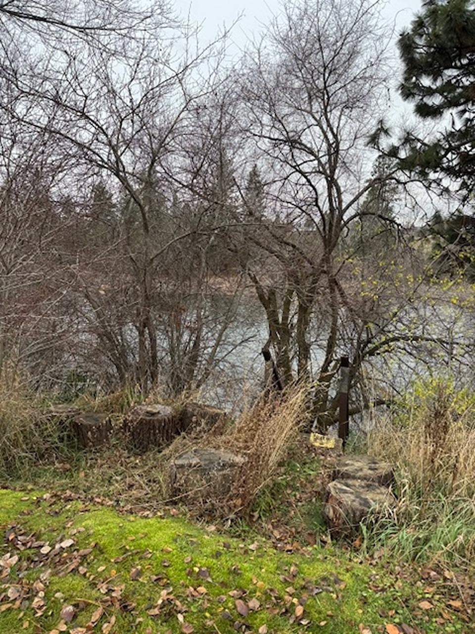 2601 North Barker Road, Unit 95 Spokane Valley, WA 99027 - Photo 24 of 26