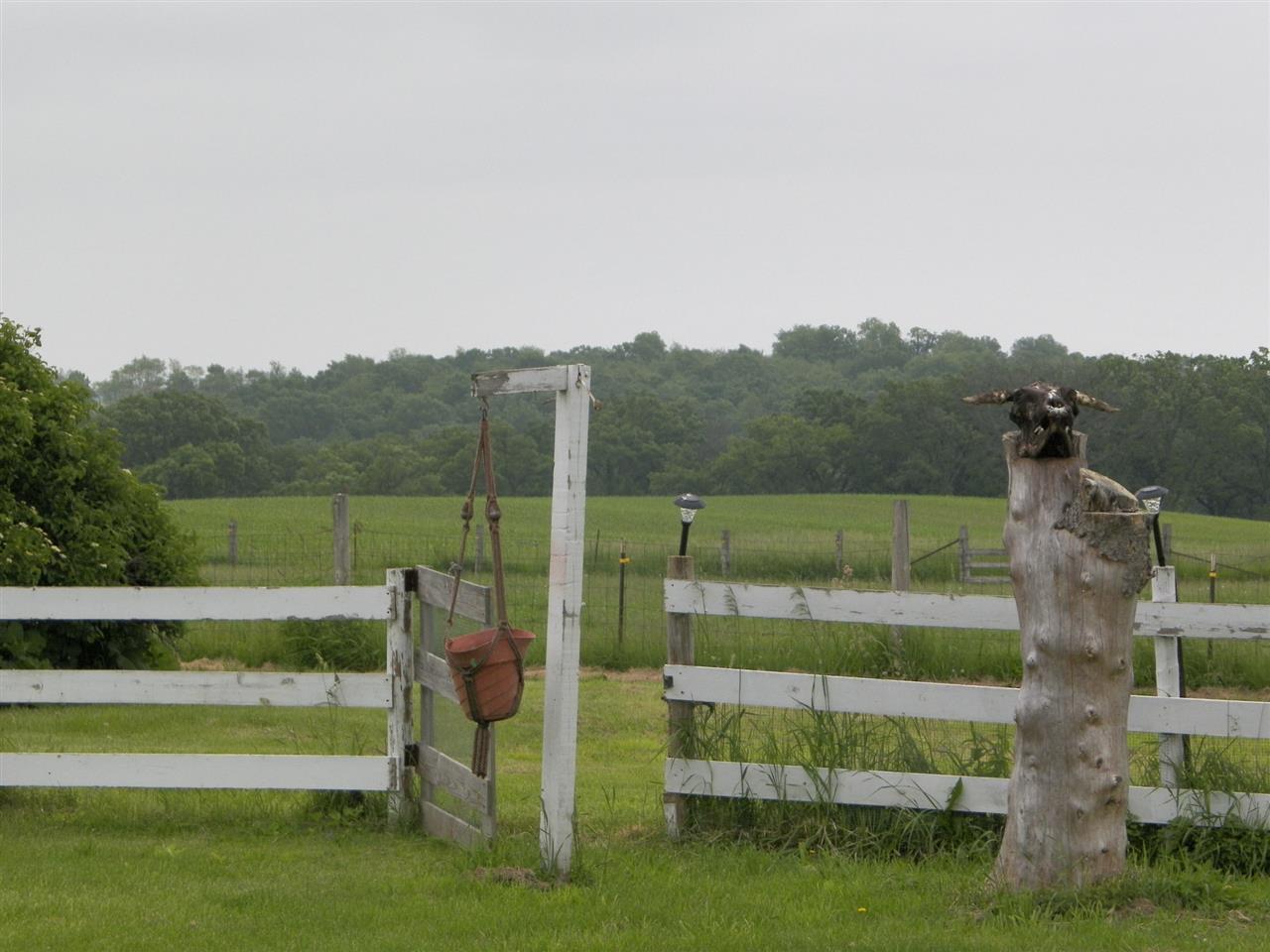 11483 North Tower Road Byron, IL 61010 - Photo 15 of 17 a view of a garden with mountain