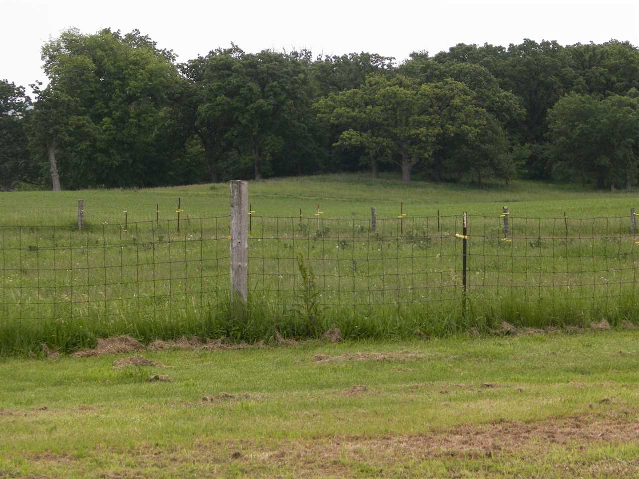 11483 North Tower Road Byron, IL 61010 - Photo 16 of 17 a view of a back yard