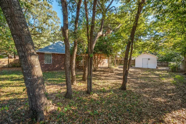 a tree in front of a white house