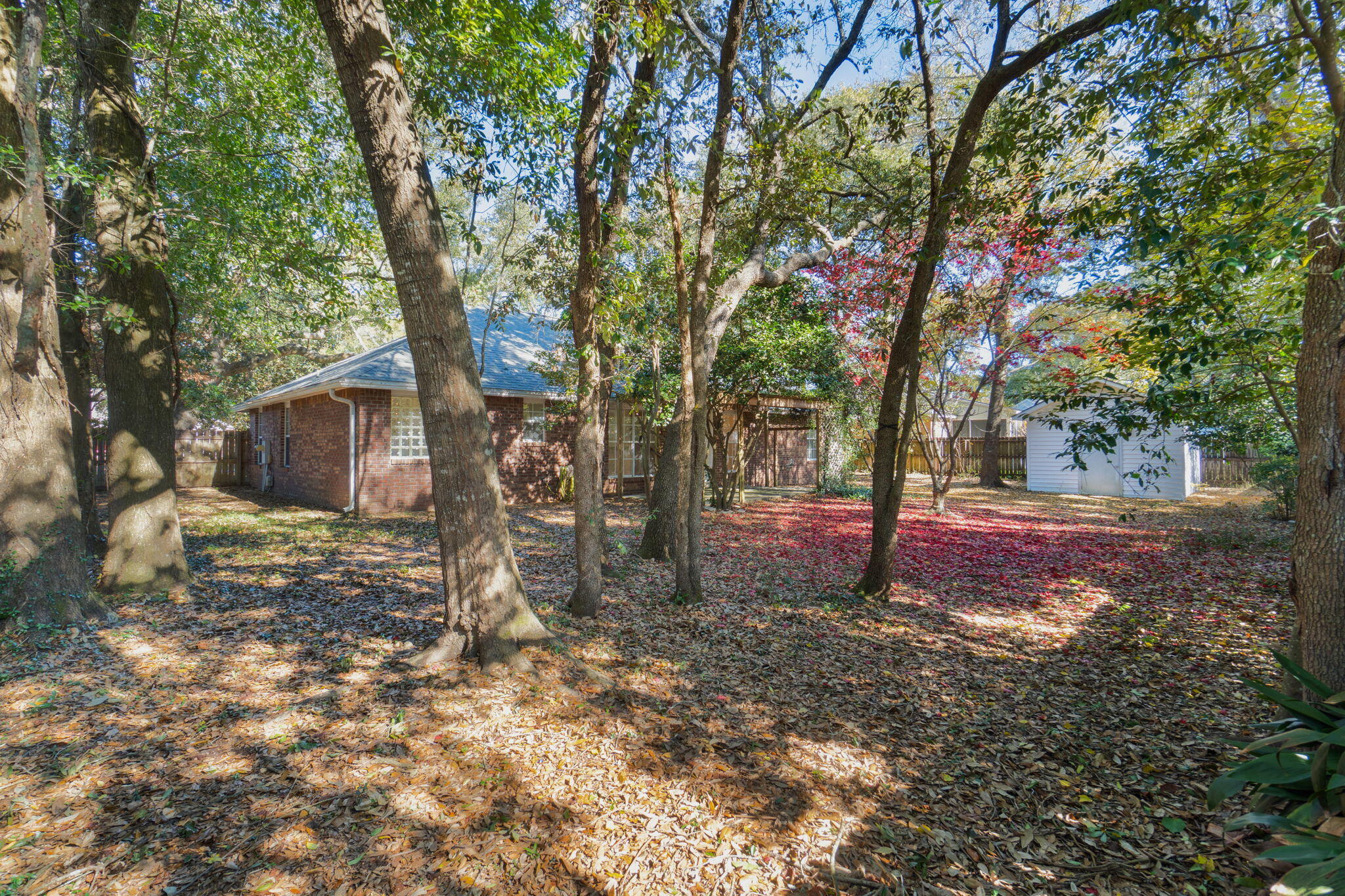 4591 Scarlet Drive Crestview, FL 32539 - Photo 36 of 37 a view of a yard with plants and trees