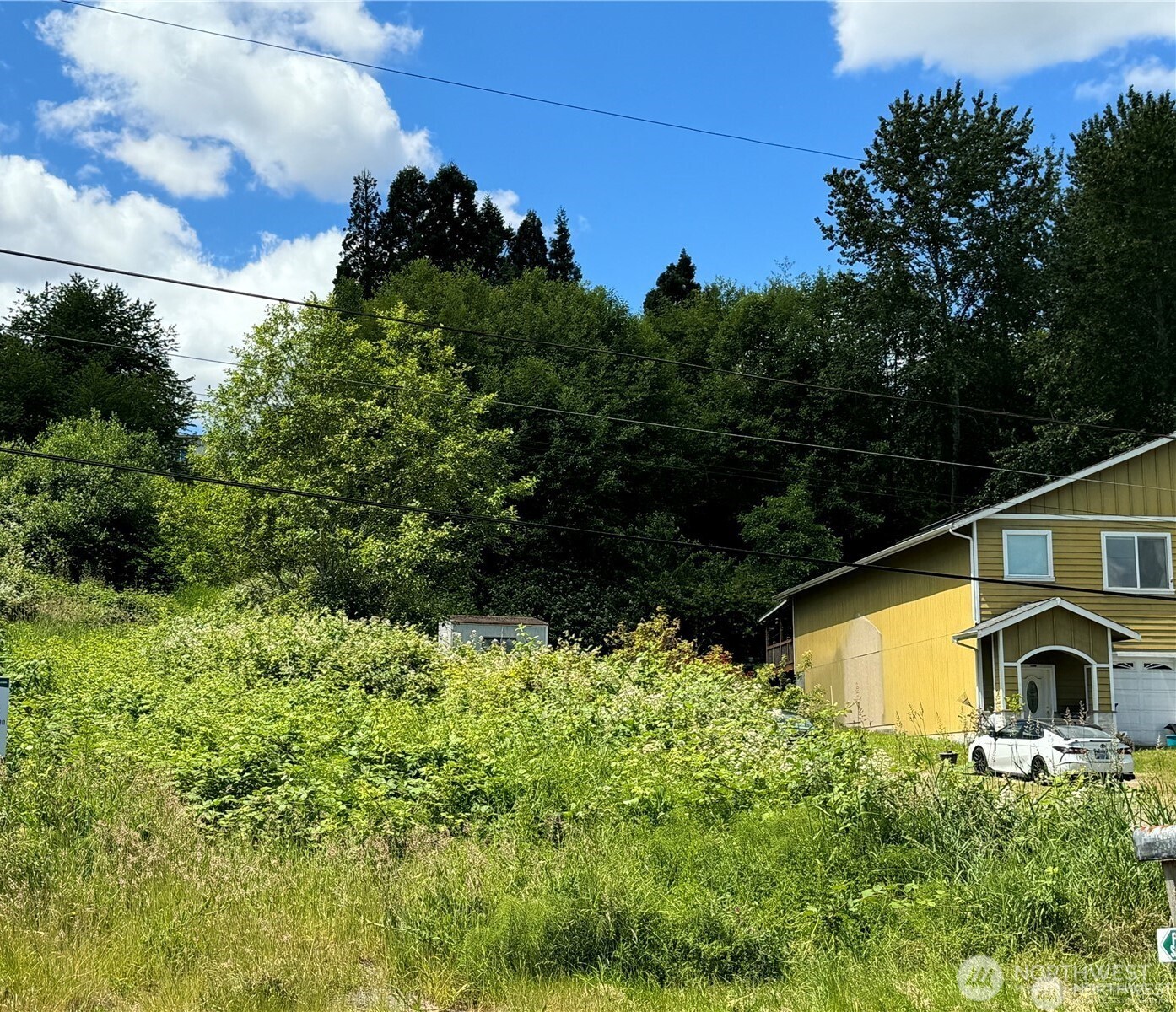 14253 Macadam Road South Tukwila, WA 98168 - Photo 1 of 15 a view of a garden