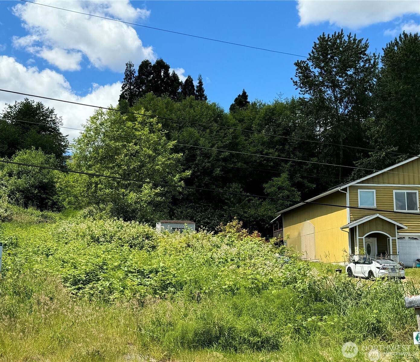 14253 Macadam Road South Tukwila, WA 98168 - Photo 14 of 15 a view of a garden