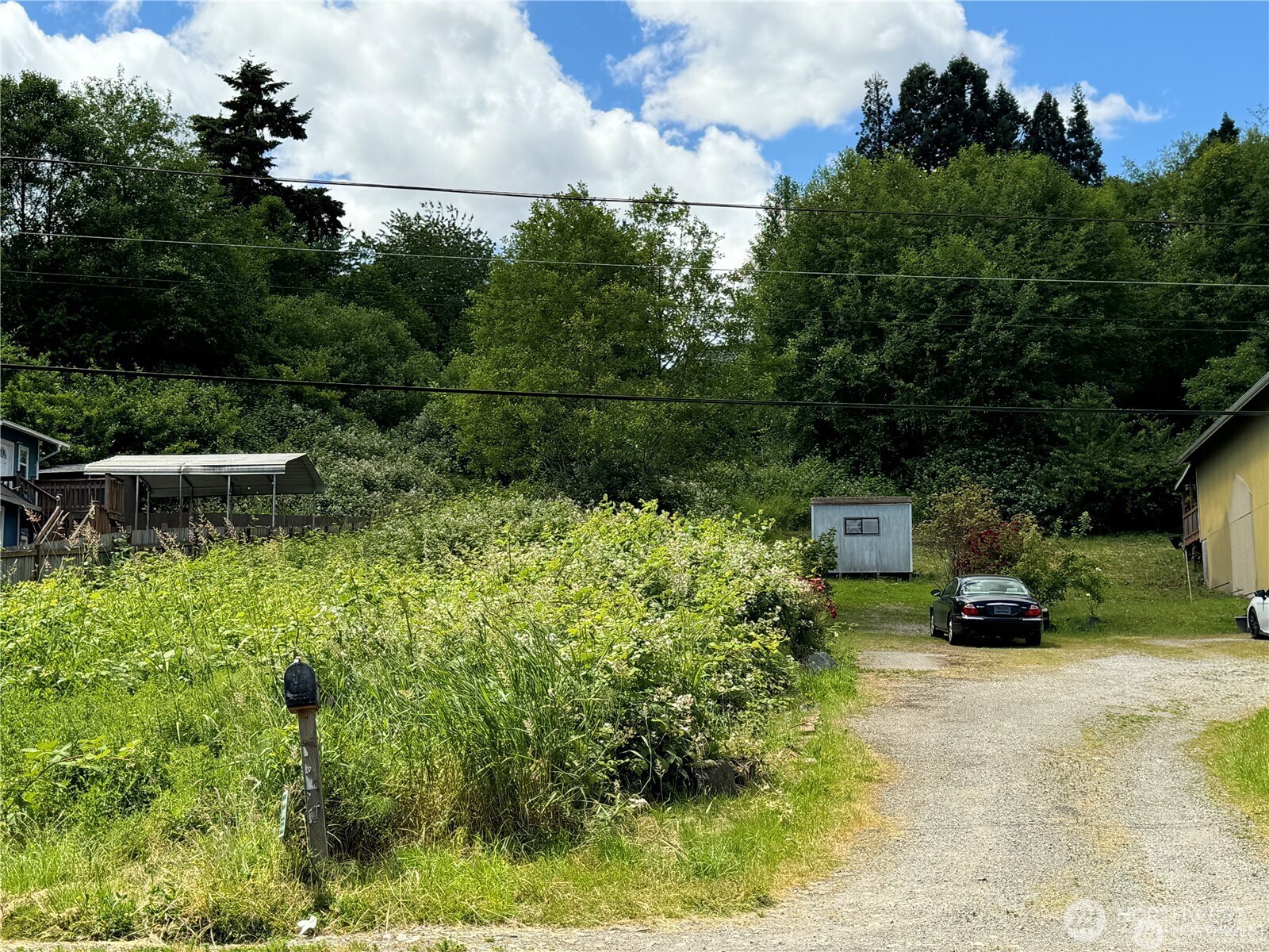 14253 Macadam Road South Tukwila, WA 98168 - Photo 5 of 15 a view of a backyard with plants and a patio