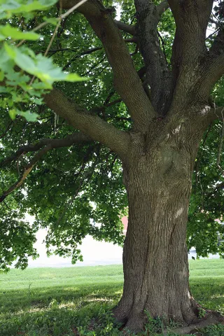 $600,000 | 7185 Elder Lane, Sun Prairie, WI 53590