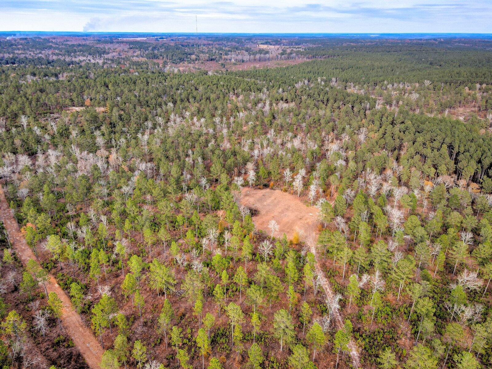 0 Deer Run Road, Unit B Williston, SC 29853 - Photo 17 of 19 Gallery Image 17