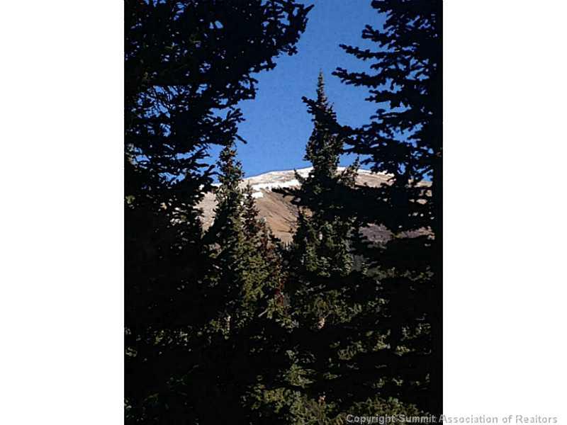 0 Ansley Road Alma, CO 80420 - Photo 3 of 17 Gallery Image 3