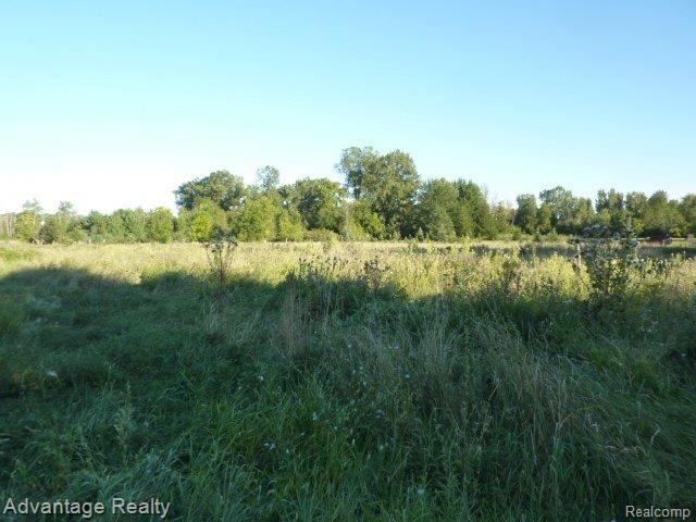 53780 Bates Road New Baltimore, MI 48051 - Photo 30 of 38 P1080227.JPG