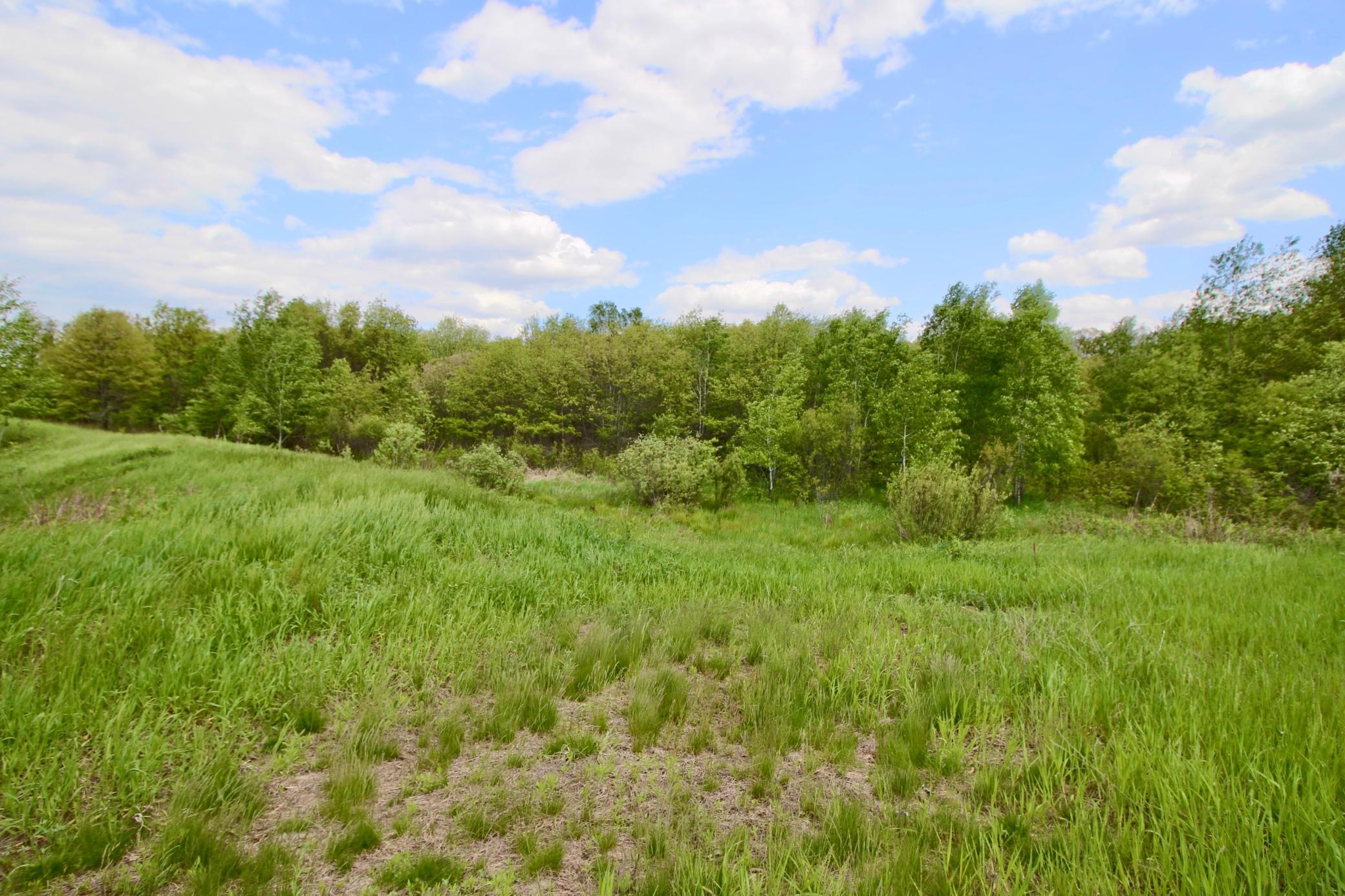 Outlot C Lake Forest Road Baxter, MN 56401 - Photo 2 of 4