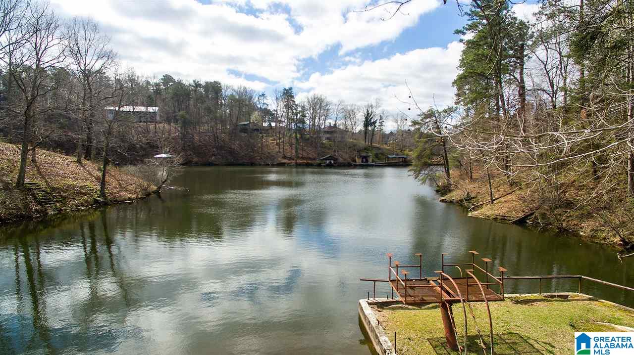 401 Lakeshore Loop Oneonta, AL 35121 - Photo 40 of 46