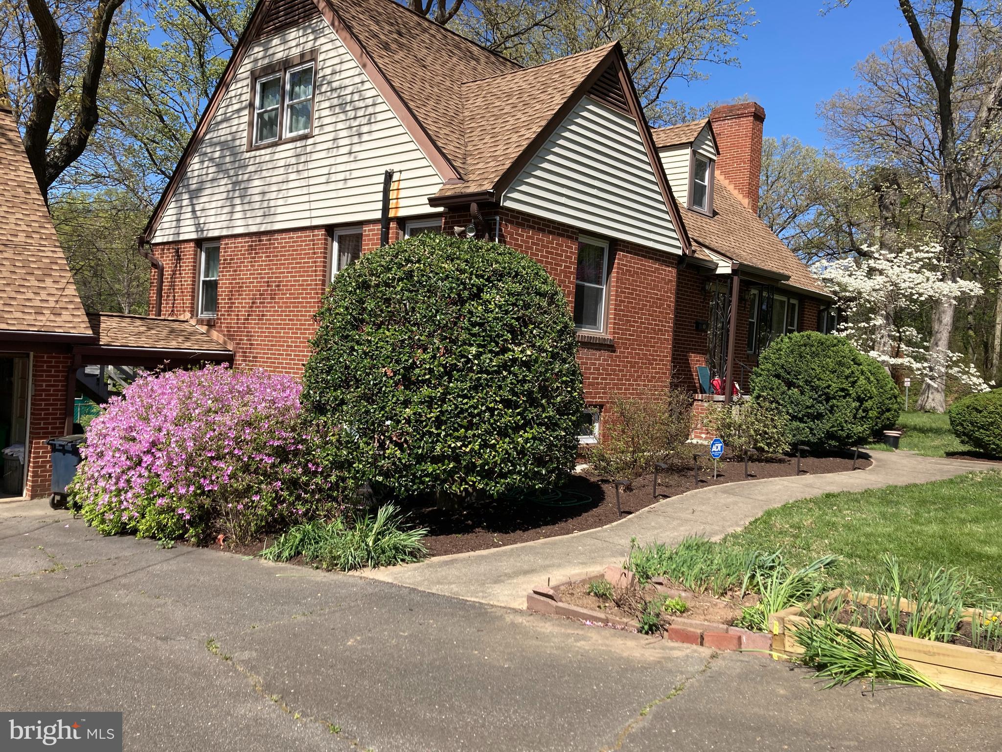 3420 Chatham Road Hyattsville, MD 20783 - Photo 37 of 37 Spring Blooms
