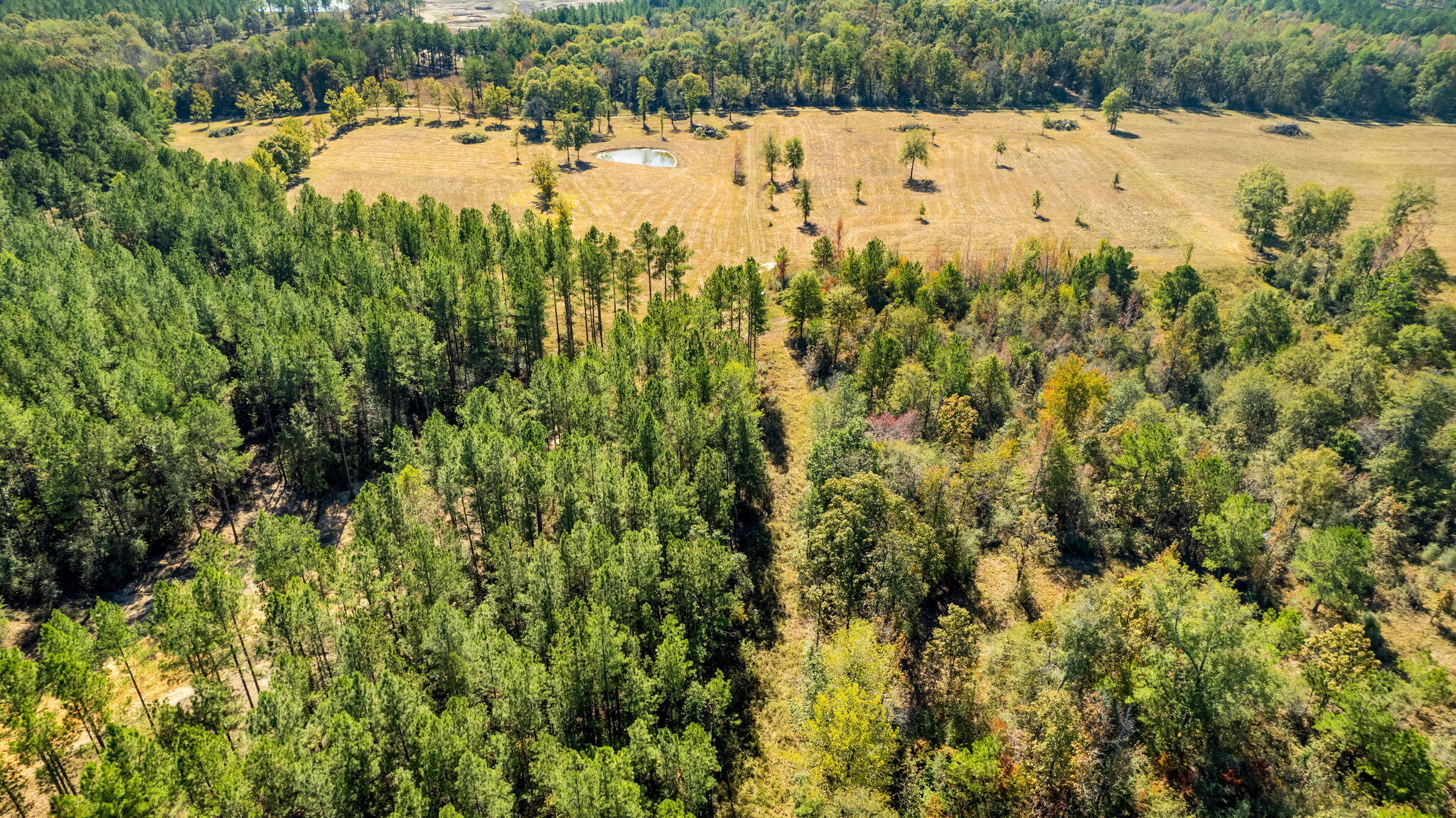 363 Rockhill To Lumberton Road Purvis, MS 39475 - Photo 28 of 71 Gallery Image 28