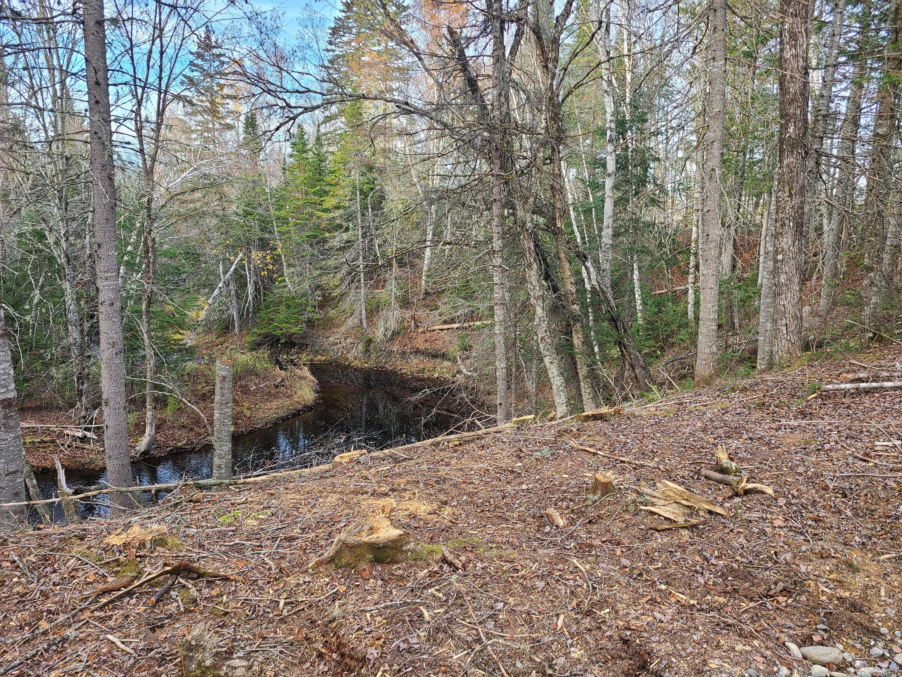 6 B Estabrook Road Amity, ME 04471 - Photo 1 of 12 20211026_155937