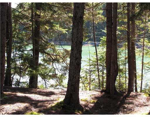 336 South Deer Isle Road Deer Isle, ME 04627 - Photo 22 of 25 Land.