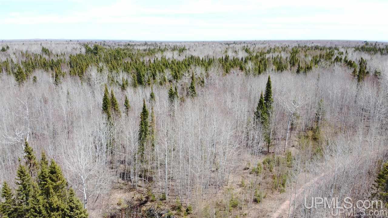 Tbd Mud Lake Road Lake Linden, MI 49945 - Photo 13 of 18
