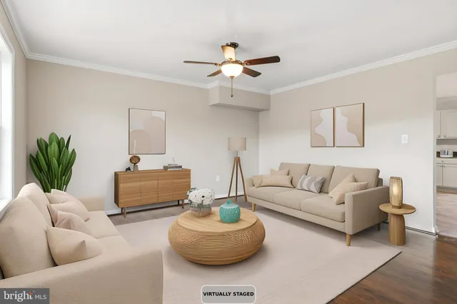 a living room with furniture and a potted plant