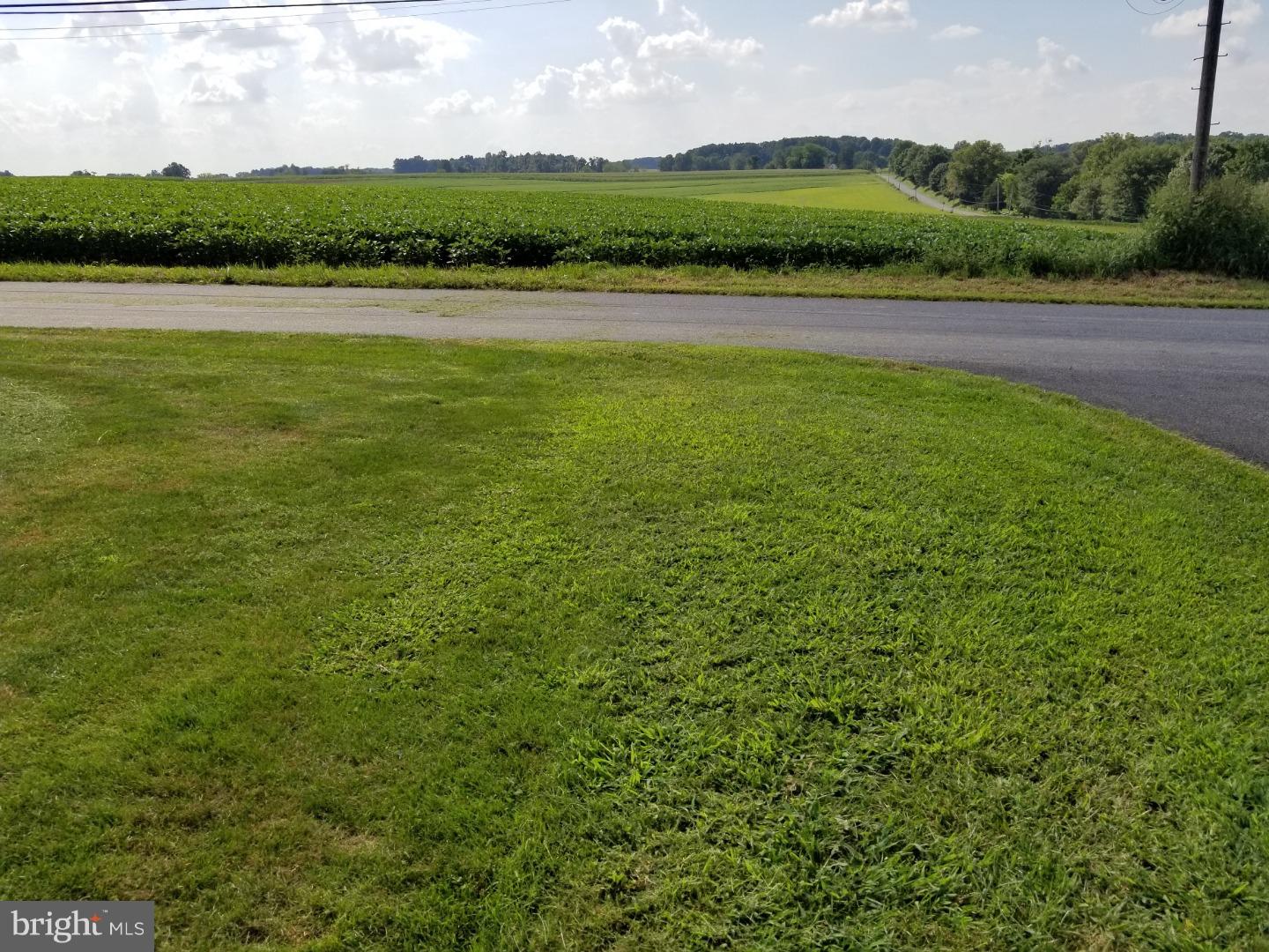 13 Humpton Road Coatesville, PA 19320 - Photo 6 of 21 Front Yard