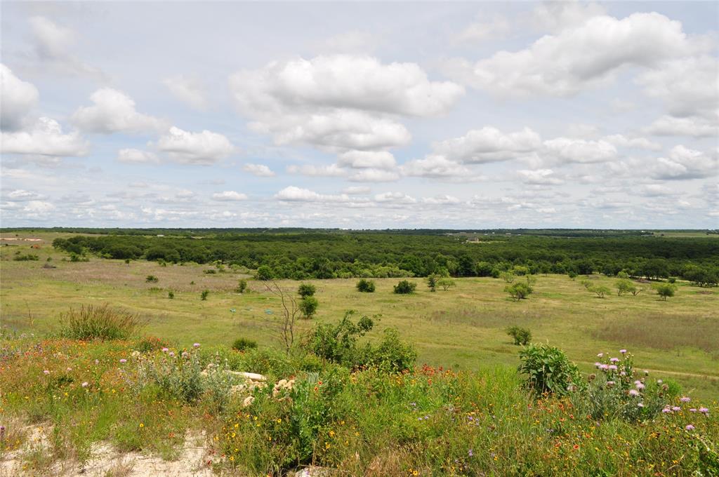 1849 2 Bush Road Perrin, TX 76486 - Photo 28 of 40