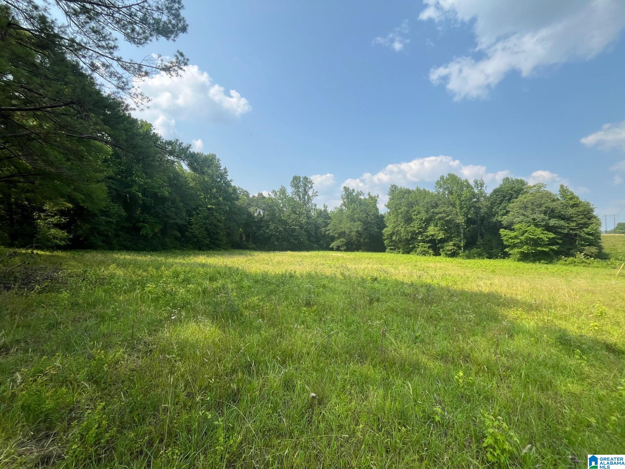 91 County Road Roanoke, AL 36274 - Photo 10 of 11 Gallery Image 10
