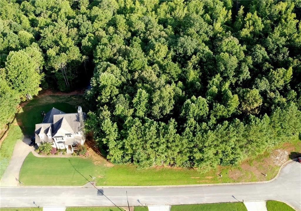 0 Observation Pointe Dallas, GA 30132 - Photo 3 of 6