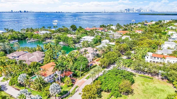 a view of a garden with plants