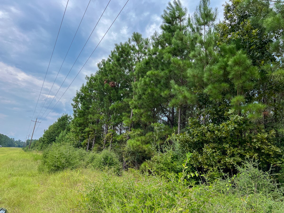 34 Highway 94 Road Trinity, TX 75862 - Photo 10 of 14 Gallery Image 10