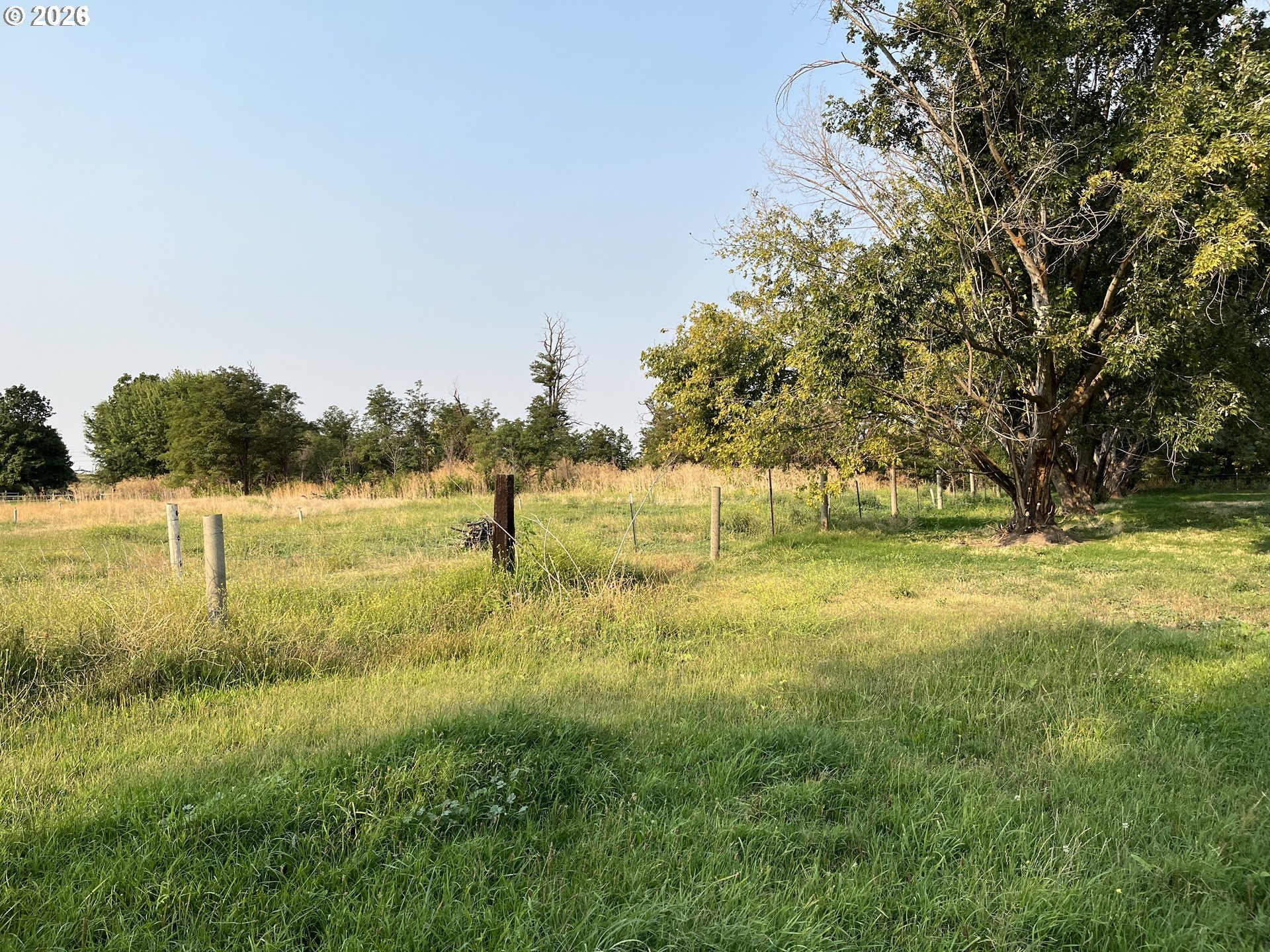 Echols Road Hermiston, OR 97838 - Photo 2 of 4 a view of a field with trees in the background